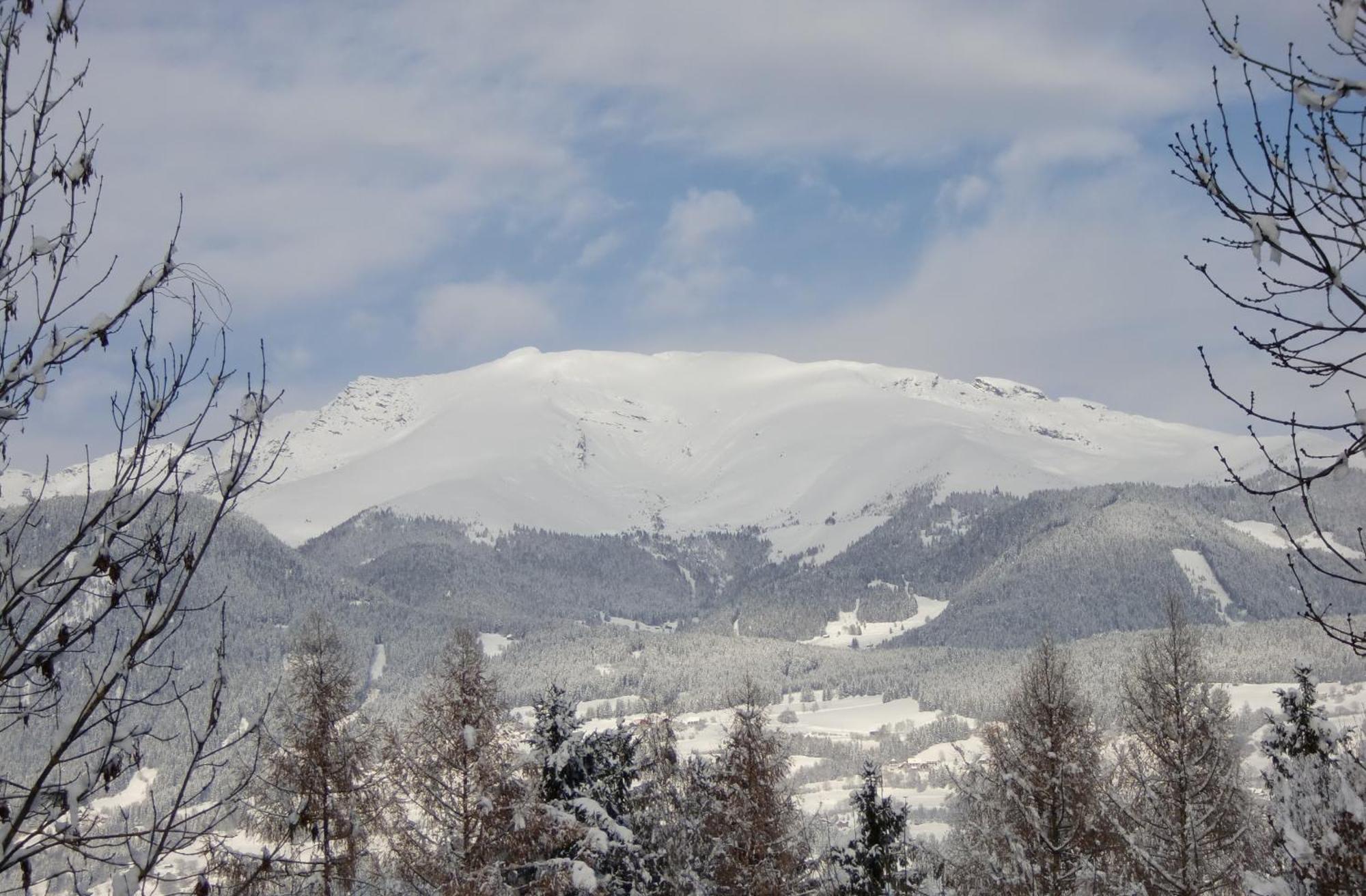 Gasthof-Pension Reidnwirt Baldramsdorf Екстер'єр фото